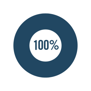 donut pie chart showing 100%