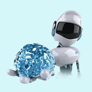 20260129_section_Olivr-8_600x600