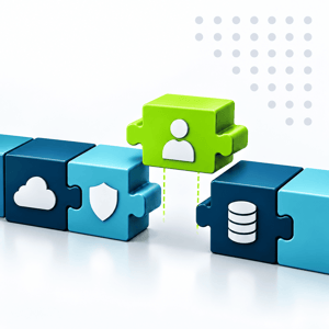 expertise gap in internal IT capacity